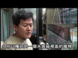 NMA 2010.01.01 動新聞   天氣冷颼颼 植物也要避寒