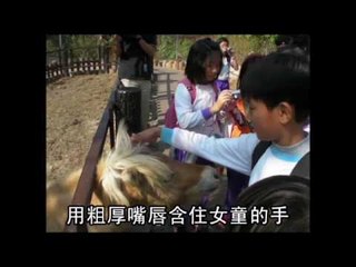 NMA 2009.12.09 動新聞  迷你馬 吻 傷5歲女童小手