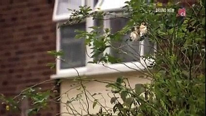 When Life Means Life - Ernest Wright-Mark Martin