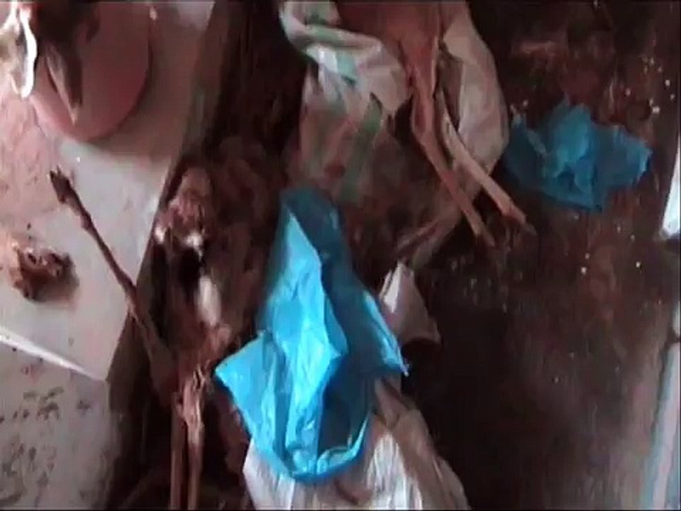 Badin Kadhan Safari Parak Nayab Haran died Exclusive