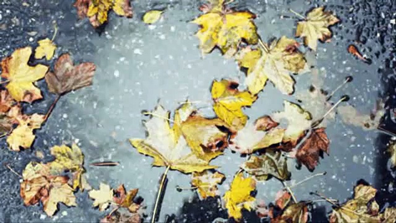 Phil Collins - Long Long Way To Go Lyrics