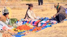 Machaqa: El derecho de los pueblos indígenas bolivianos a una educación intercultural