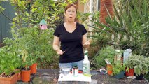 How to Make a Calcium Spray for Tomatoes : Garden Space