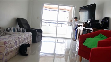 Sid o Gato Goleiro - Sai que é sua TAFFAREL!!!!! - Globo Esporte (goalkeeper cat!)