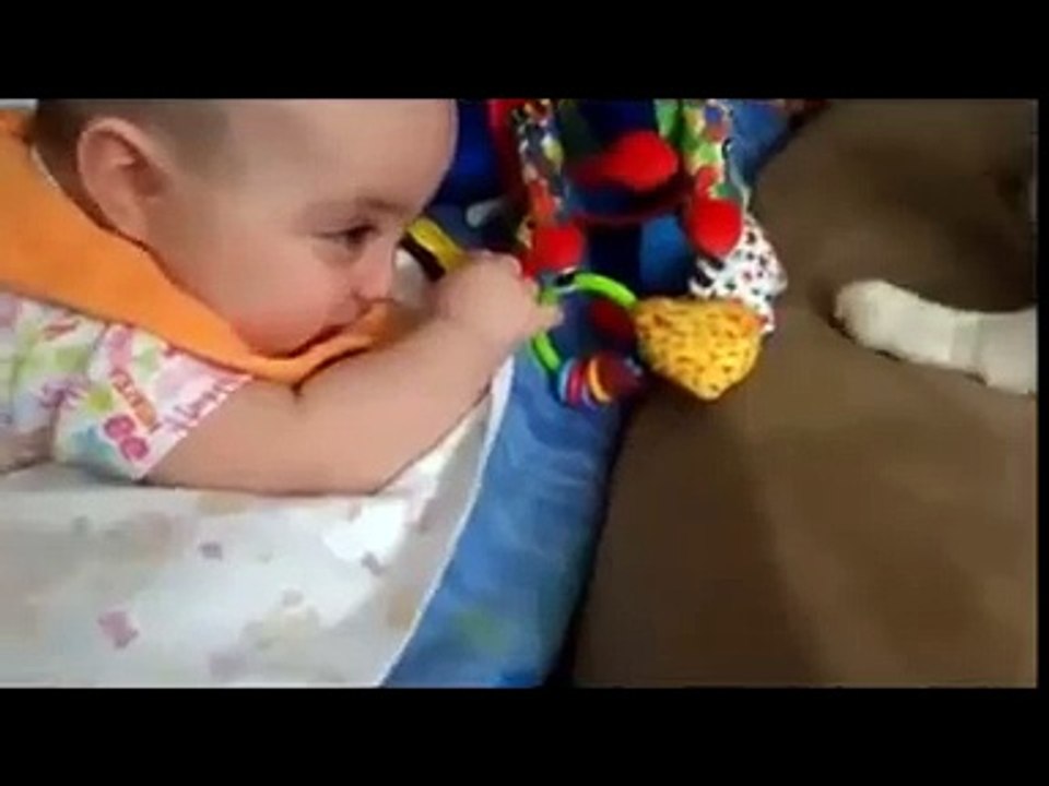 Funny Videos Fail Compilation, Funny Pranks and Funny Cats Videos New Funny Videohttp?syndication=228326