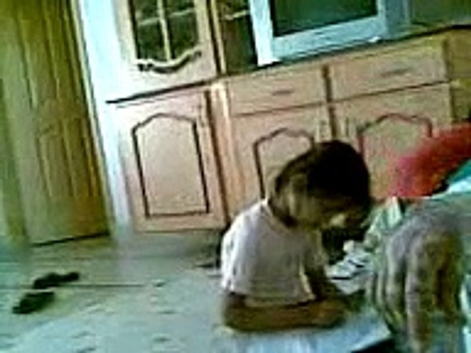 Video000 (11)