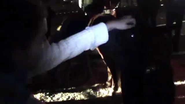 Funny Videos, Girls Feading llama?syndication=228326