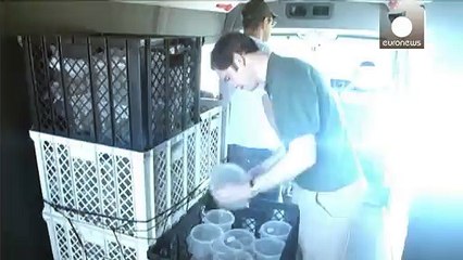 تغییرات ژنتیکی پشه ها برای مهار تب دنگی در برزیل