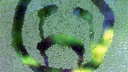 Emotional intelligence