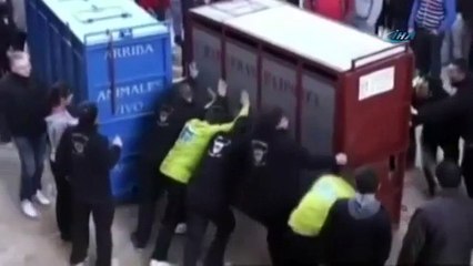 Bu görüntüler Jurassic Park’tan değil !