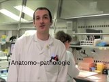 Visite aux laboratoires de biologie médicale