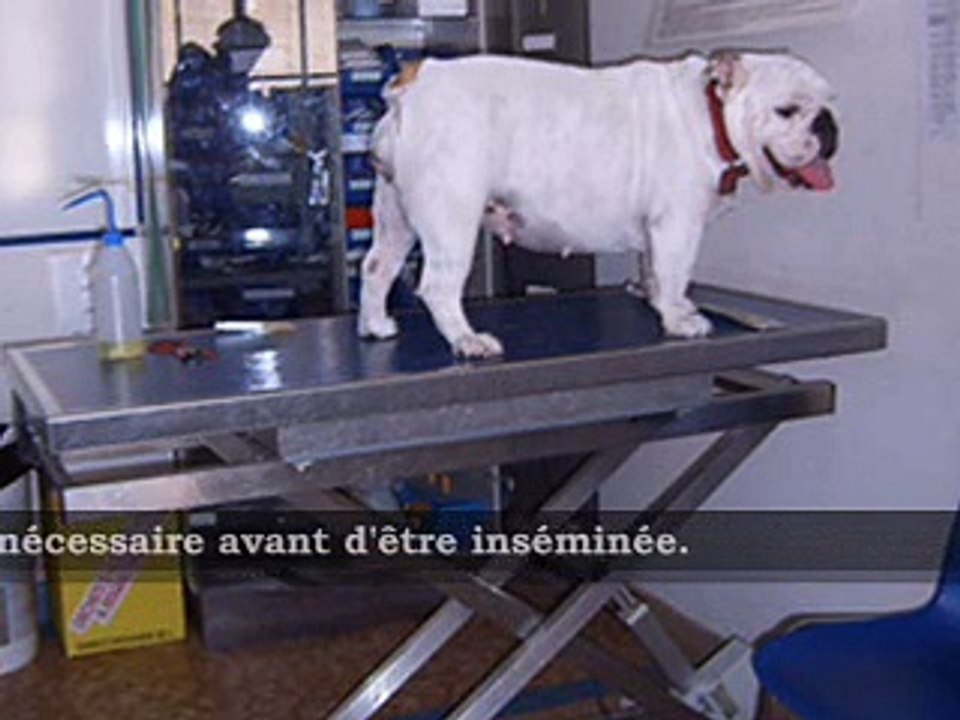 Procréation médicalement assistée par la technique d'Andersen !