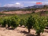 Viajar. Recorremos las bodegas de la Rioja Alavesa