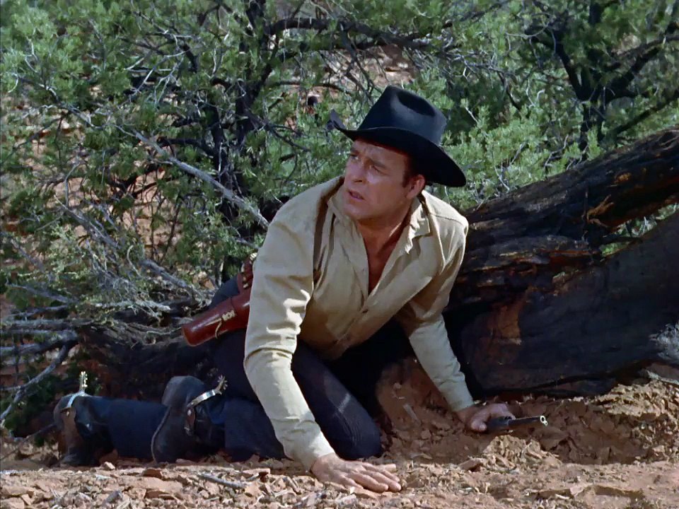 Johnny Guitar 07