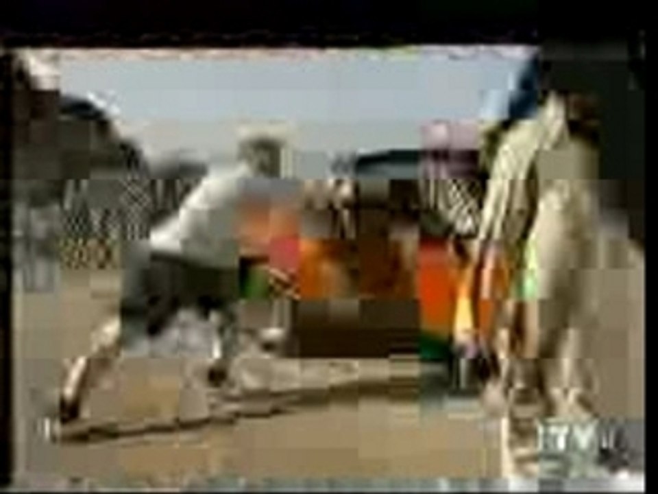 DROGUE ET SES EFFETS DEVASTATEURS