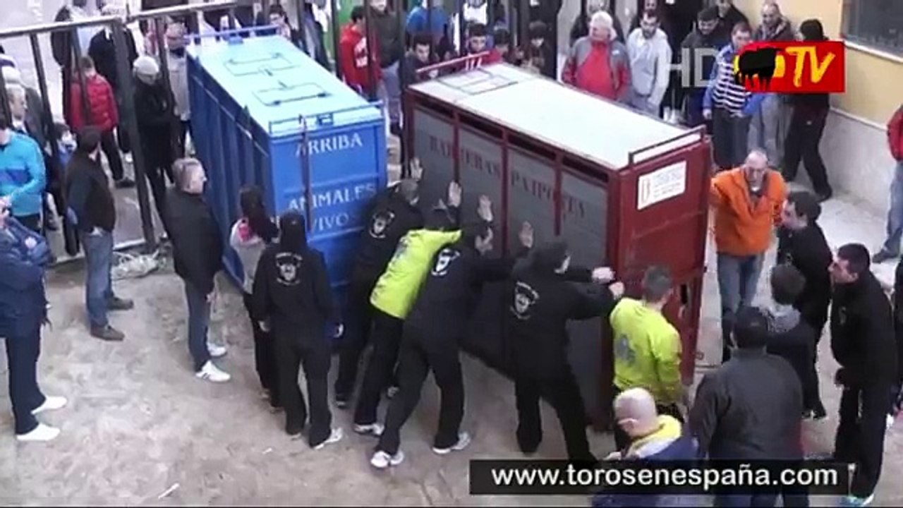 Un taureau s’échappe de sa cage en Espagne