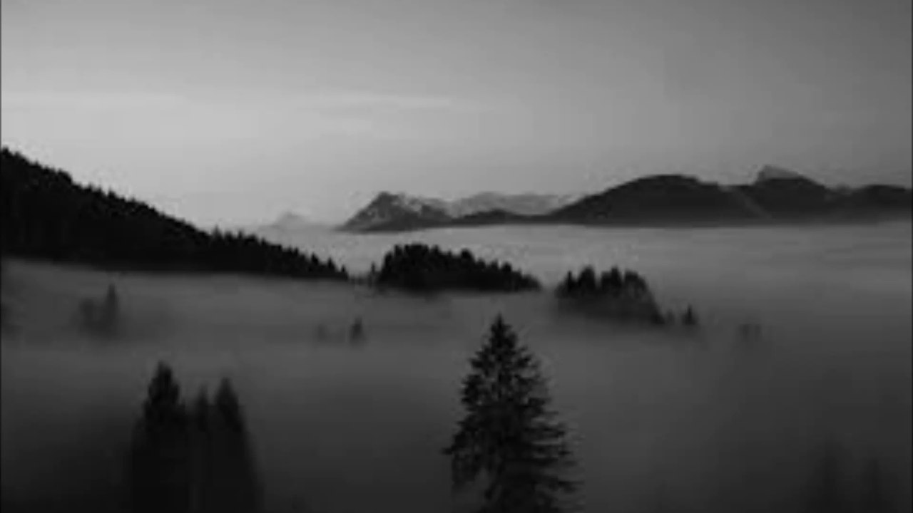 Sophia - Aus der Welt