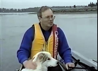 Ame animale Complicité entre un chien et un béluga.