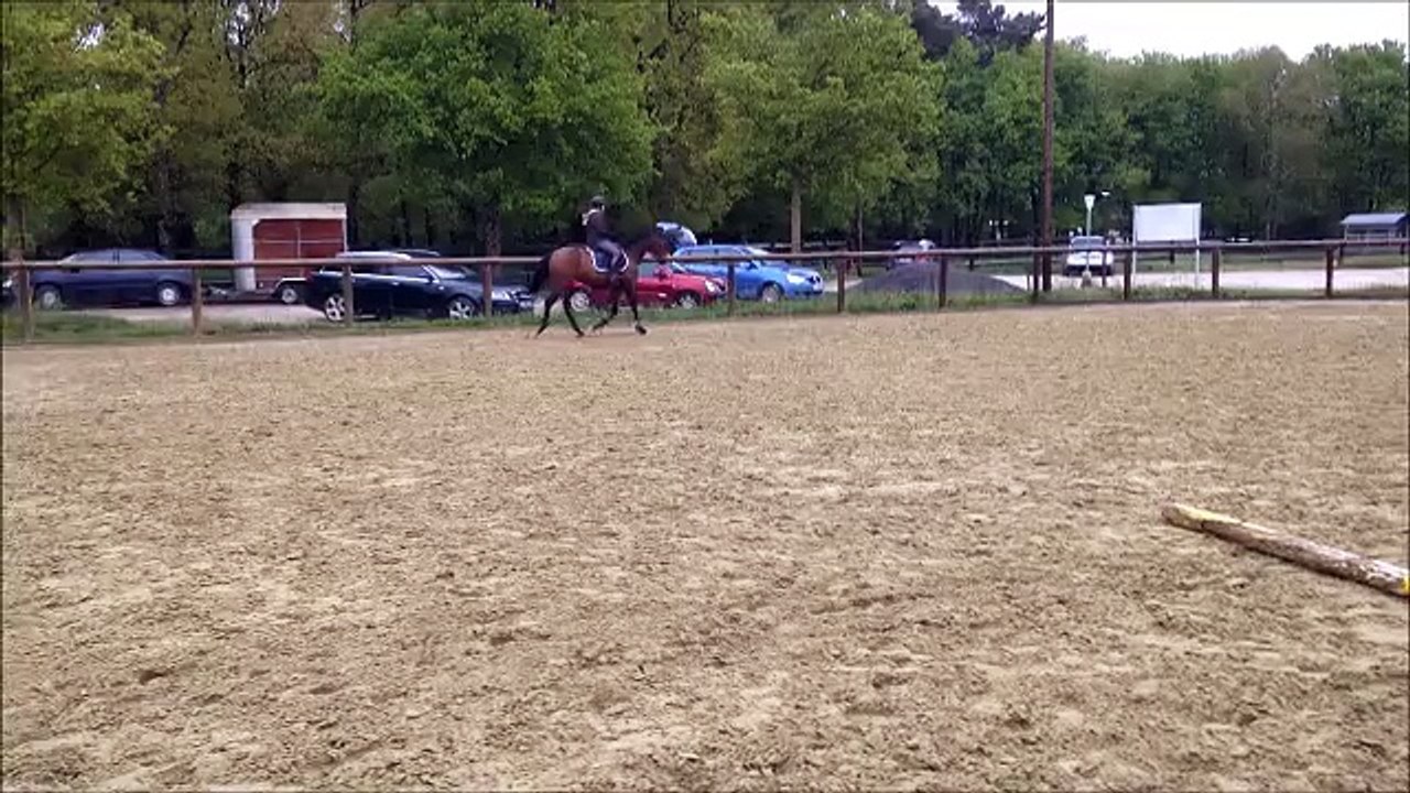 Séance de saut du 30.04.15 - Olympic et Gwen
