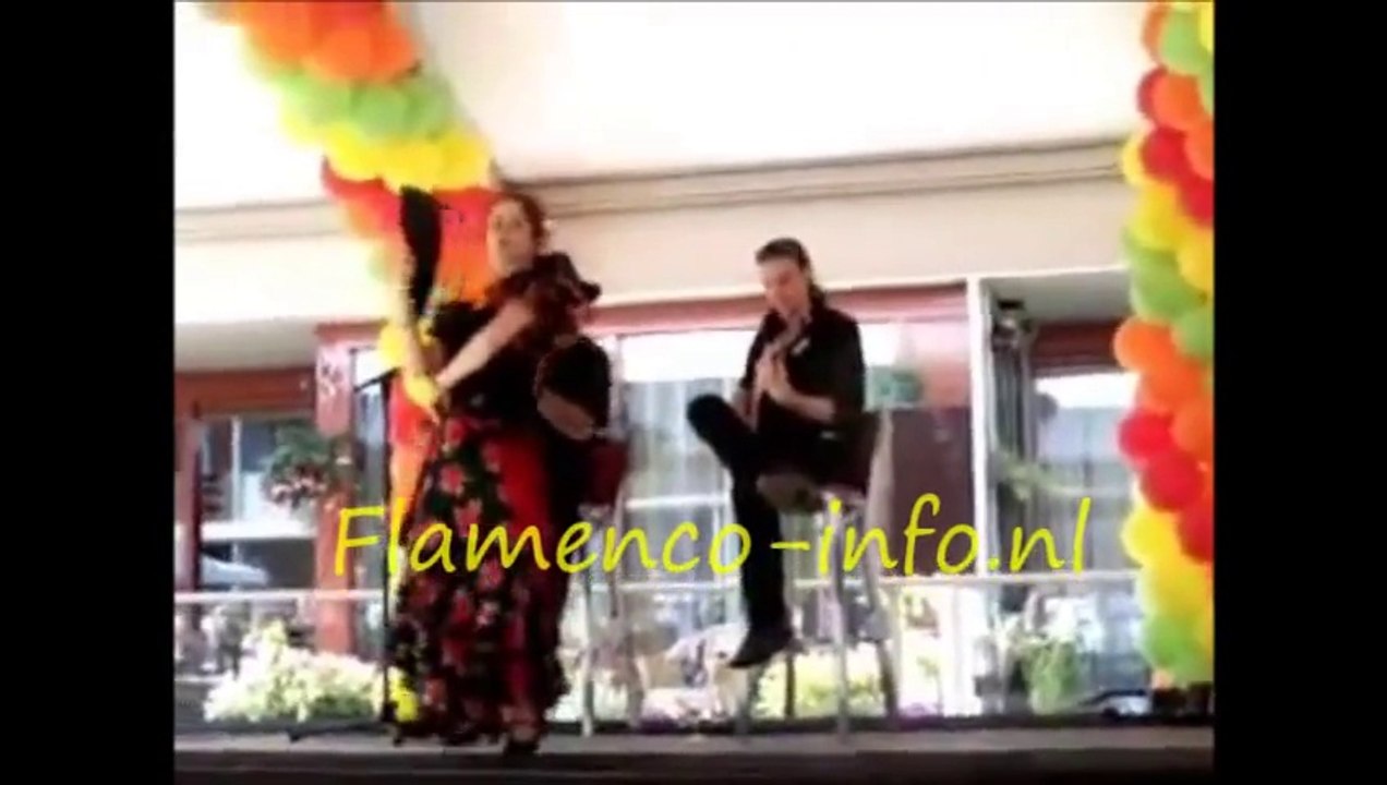 Flamenco-info.nl