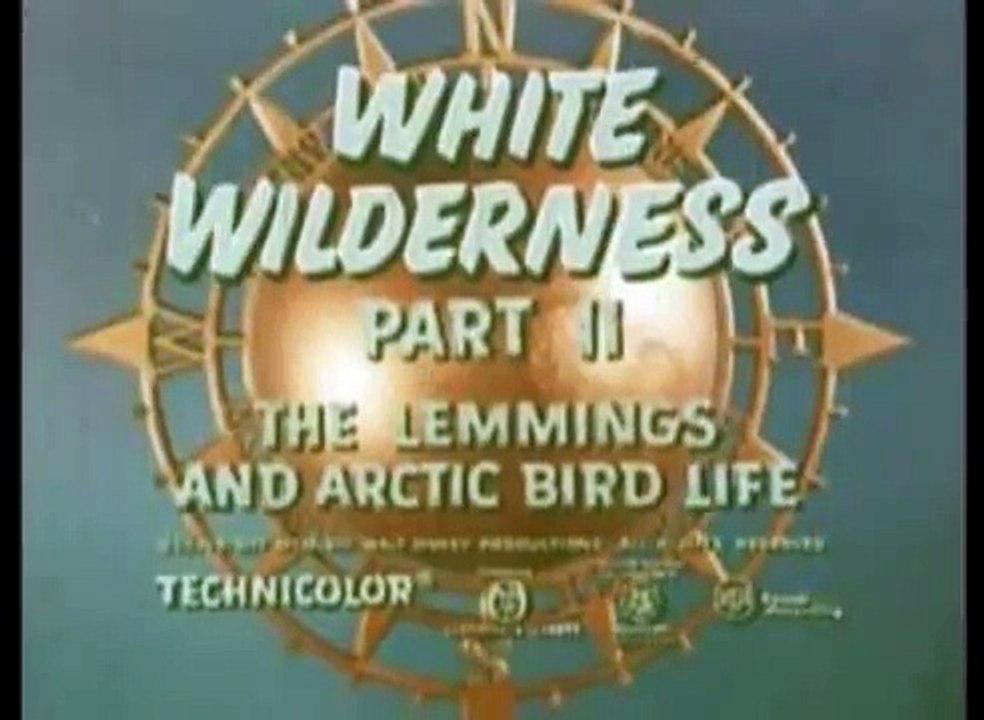 White Wilderness