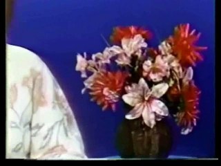 THE ORIGINAL 'YOUTUBE TWILIGHT ZONE' TRILOGY