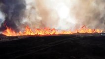 На окраине Челябинска из-за поджога камыша сгорела машина