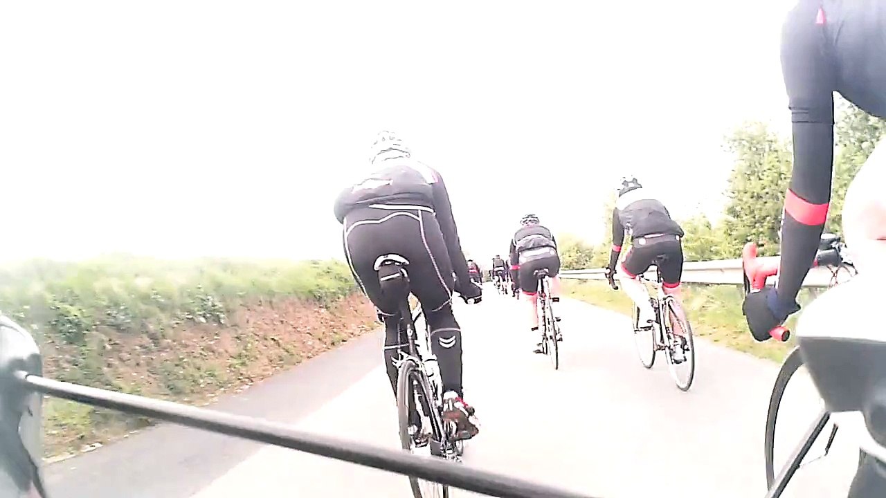 rverte2015b