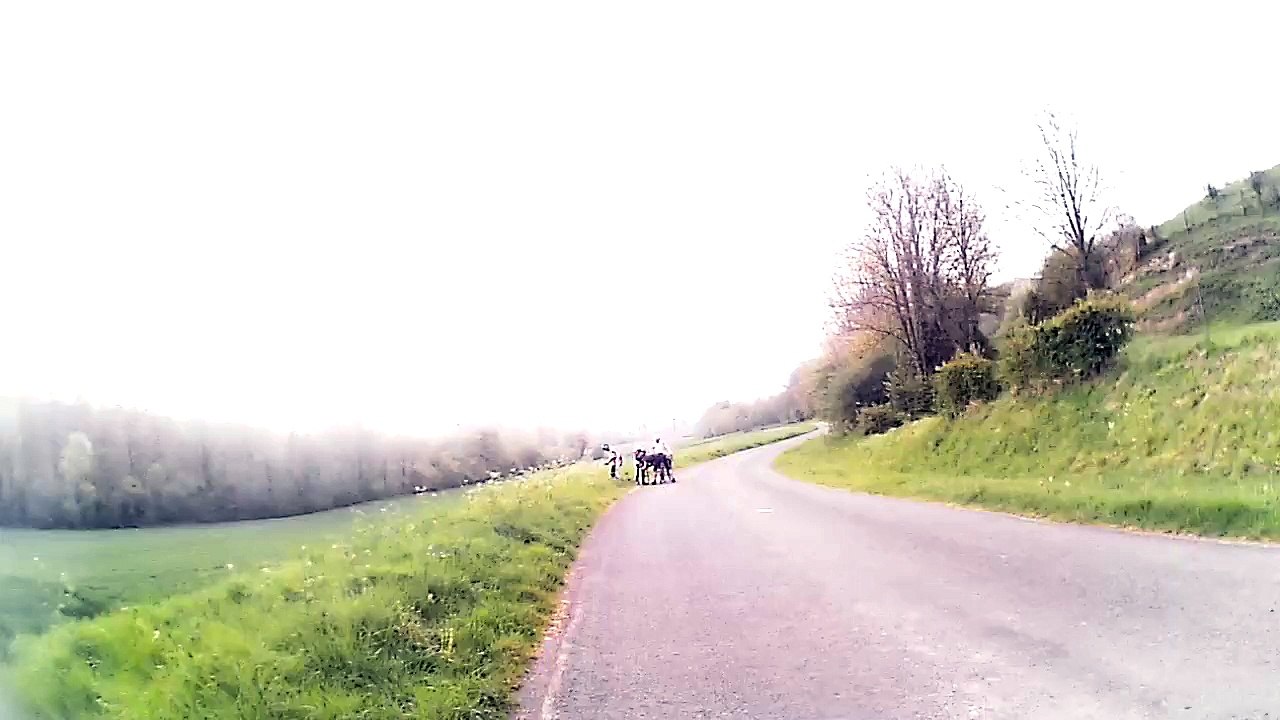 rverte2015d