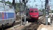 TGV Thalys 9931 n 4534 & 4322 Bruxelles Strasbourg.m2ts