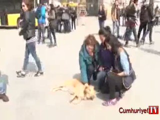 Taksim'de "030"a yoğun ilgi