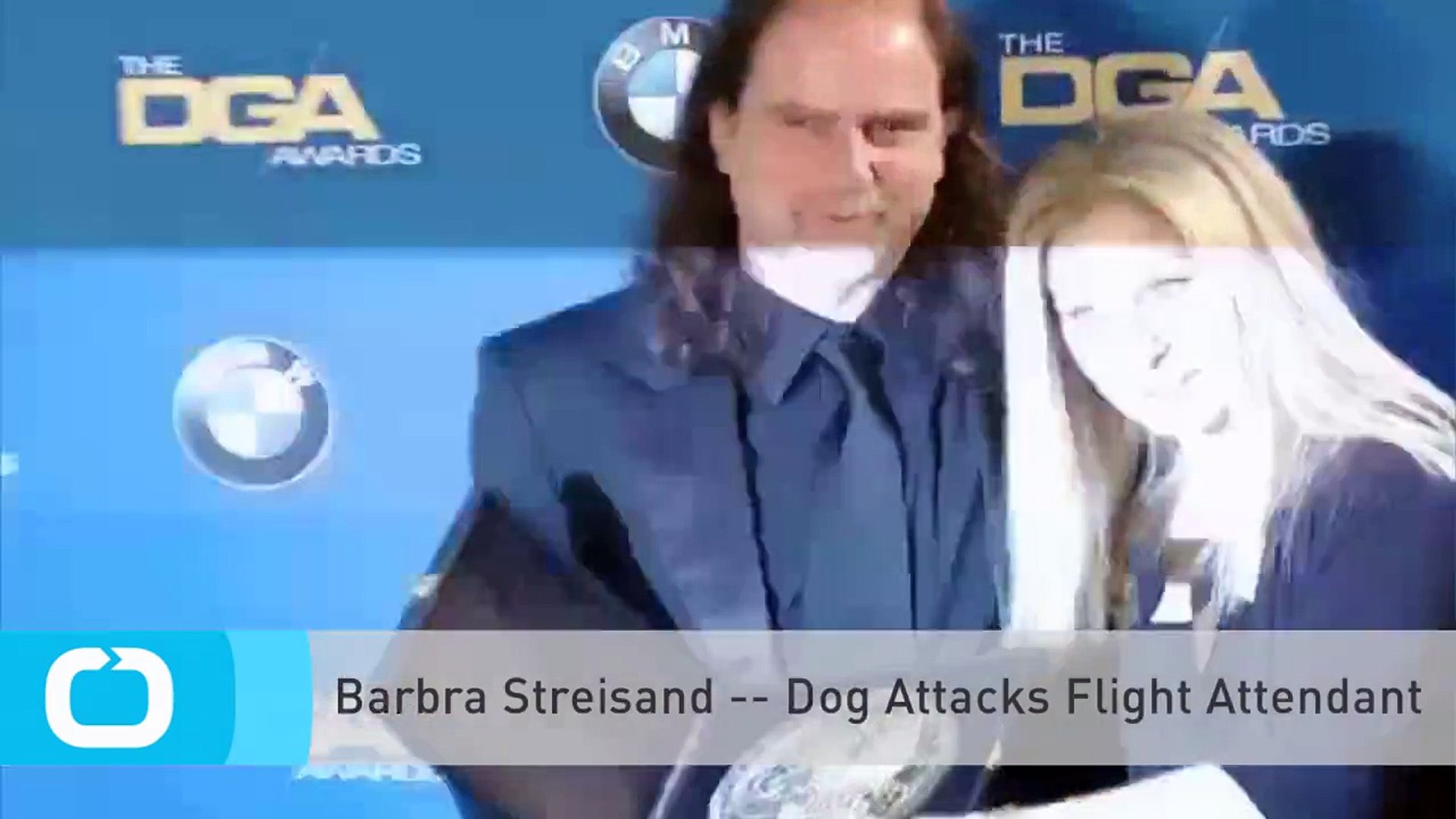 ⁣Barbra Streisand -- Dog Attacks Flight Attendant