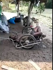 This is Called Stupid Friends