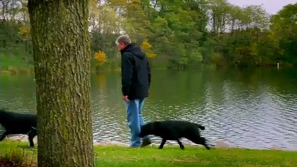 Quail Lakes - Land Reclamation | Caterpillar