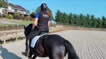 How To Get Your Horse On The Bit (Without Pulling) - Dressage Mastery TV Ep4