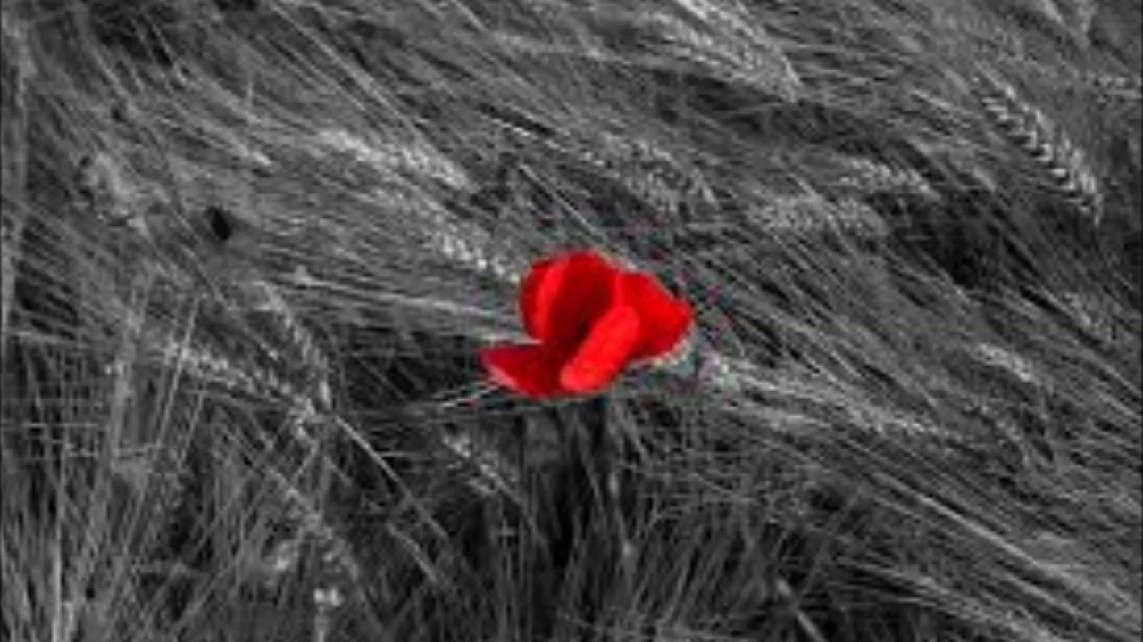 NID - Einsamkeit (Buried In Sun)