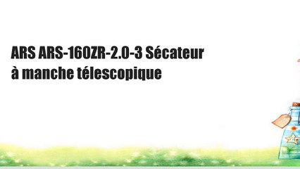 ARS ARS-160ZR-2.0-3 Sécateur à manche télescopique