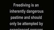 Free Diving