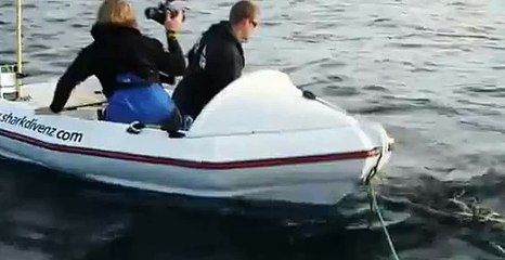 The terrifying moment a HUGE Great White shark attacks New Zealand film crew in tiny boat