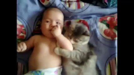 So Cuteee Cat Playing With Cute Baby