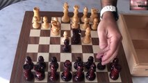 Trampa o celada en la Apertura española Defensa Bird, ajedrez en español chess