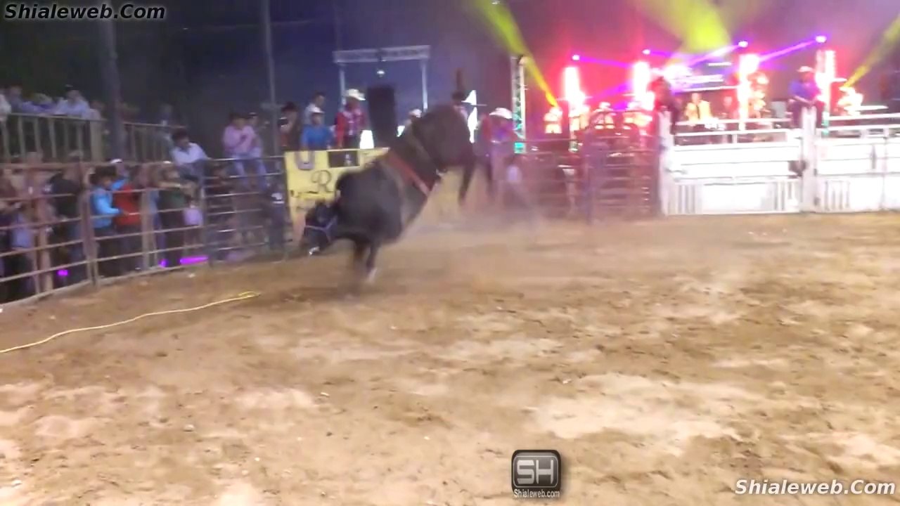 JARIPEO RANCHERO EN LA GRAN PLAZA MEXICO JINETE CON ESPUELA LIBRE MONTA A LOS TOROS MAS SALVAJOTES  MAYO 2015