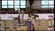 Jumping Horse Sold: EH All Or None 8 y.o. Hanoverian gelding, Grand Prix H150 CSI3* Winter Show