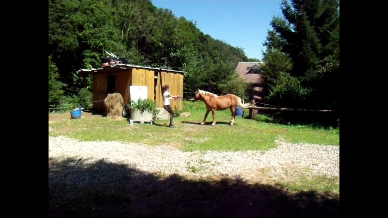 Tao, trois ans que tu fais mon bonheur.♥