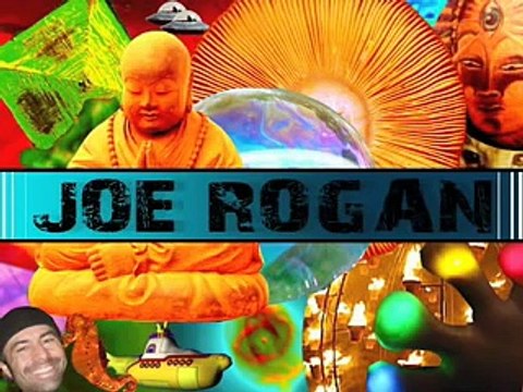 Joe Rogan ~ DMT Changes Everything
