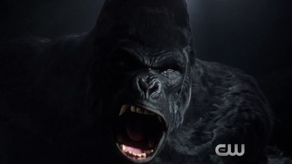 THE FLASH - Grodd Lives PROMO (Full HD)