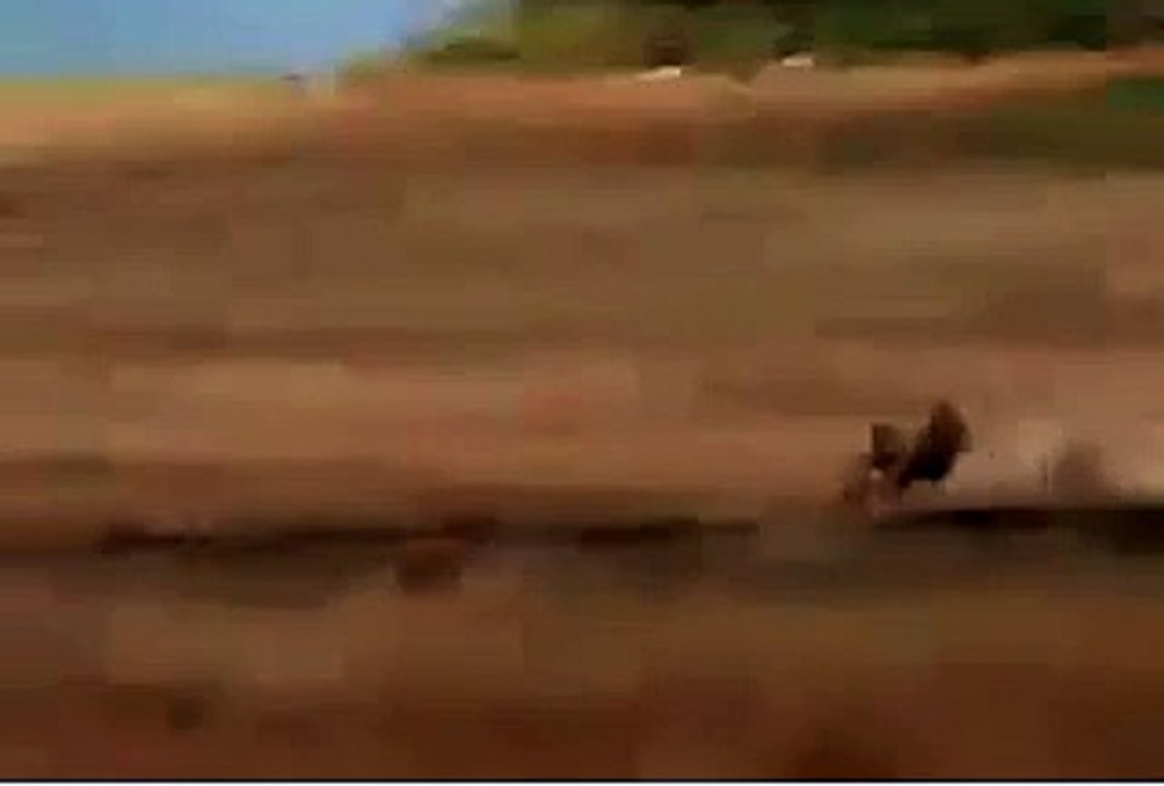 L'homme le plus rapide au monde a couru plus vite que le léopard pour sauver une antilope.