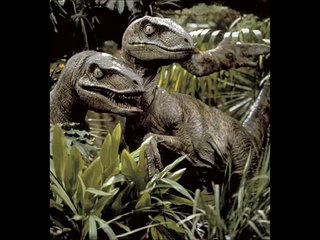 Velociraptor Vs Spinosaurus