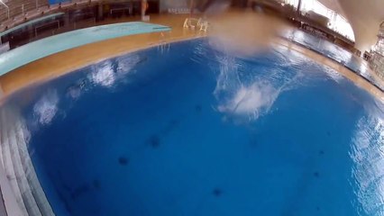 Turmspringen / High Diving 2012
