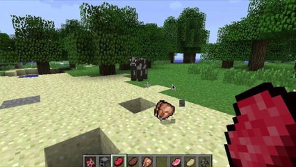 Minecraft in Depth || Food || Meats